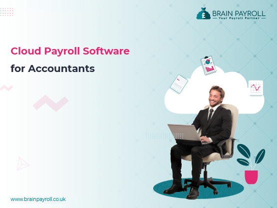 Cloud Payroll Software for Accountants