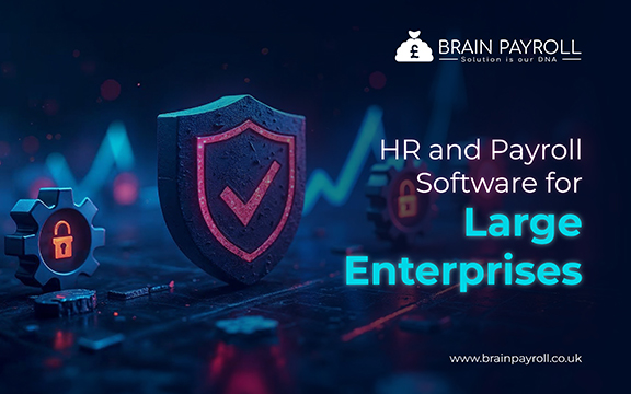 HR and Payroll Software for Large Enterprises illustration