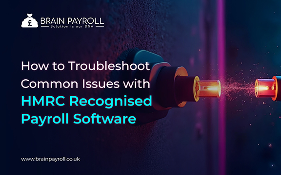 HMRC Payroll Software Troubleshooting illustration