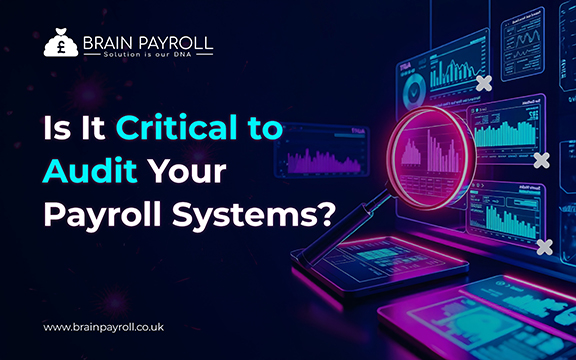 Payroll Systems Audit illustration